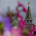 Висячие сады накрыли Москву - часть 1